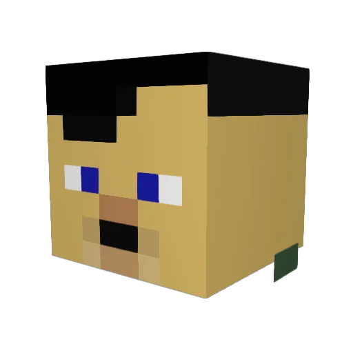 Domi_1203 Minecraft avatar head, 3D render