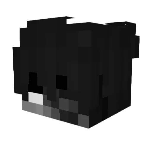 Domi_2506 Minecraft avatar head, 3D render