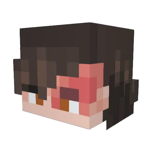 Domic26 Minecraft avatar head, 3D render