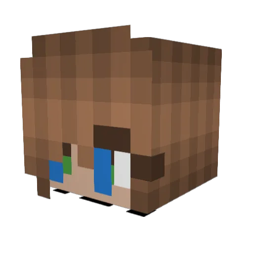 Domii08 Minecraft avatar head, 3D render
