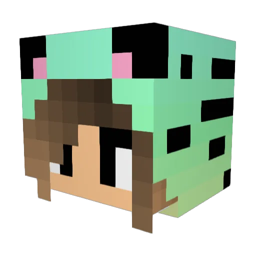 Domii_69 Minecraft avatar head, 3D render
