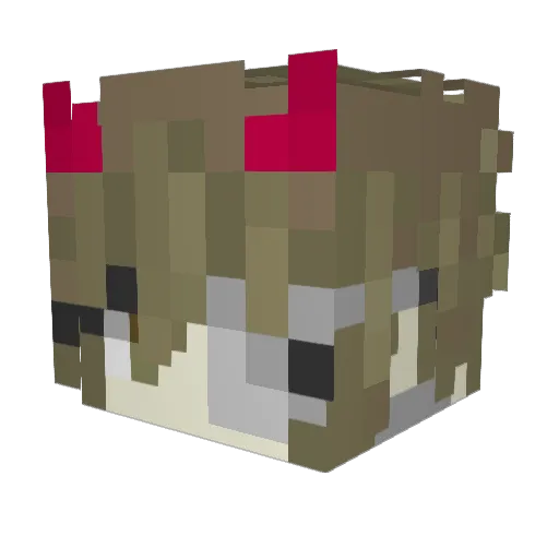 Domiii2501 Minecraft avatar head, 3D render