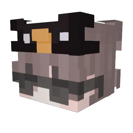 Domijlunch Minecraft avatar head, 3D render