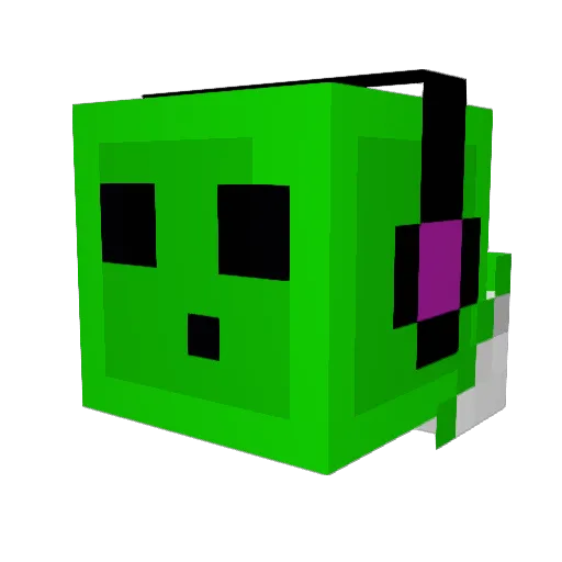 Domin1qu3 Minecraft avatar head, 3D render