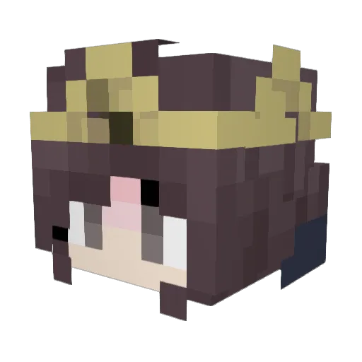 Dominans Minecraft avatar head, 3D render