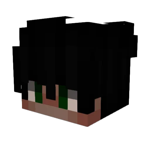 Dominator040 Minecraft avatar head, 3D render