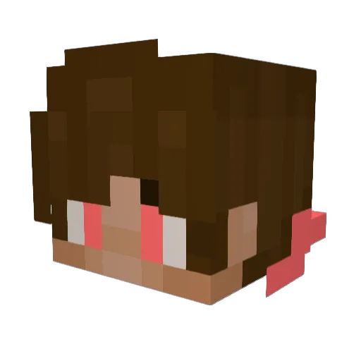 Dominator90109 Minecraft avatar head, 3D render