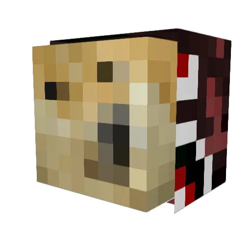 DominatorDom13 Minecraft avatar head, 3D render