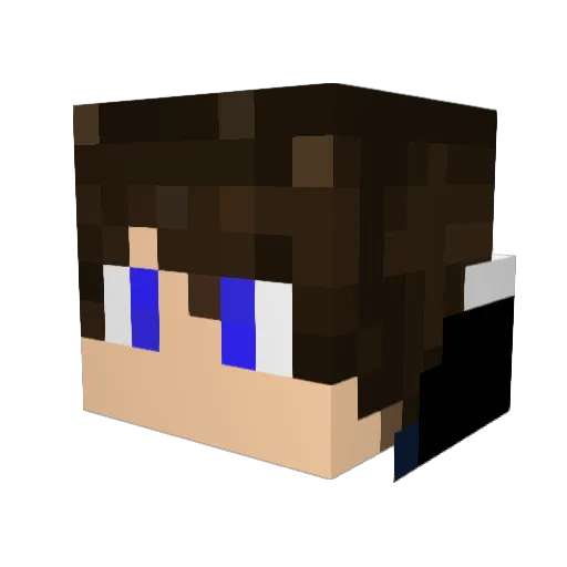 Dominator_2003 Minecraft avatar head, 3D render