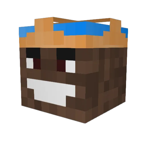 Dominder2137 Minecraft avatar head, 3D render