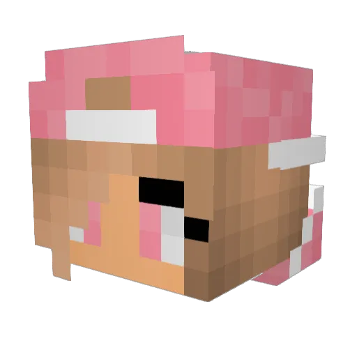 Dominga_ Minecraft avatar head, 3D render
