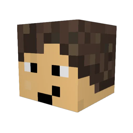 Dominhoo Minecraft avatar head, 3D render