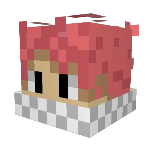 DominiTV Minecraft avatar head, 3D render