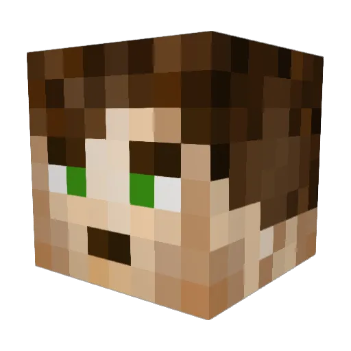 Dominic3459 Minecraft avatar head, 3D render