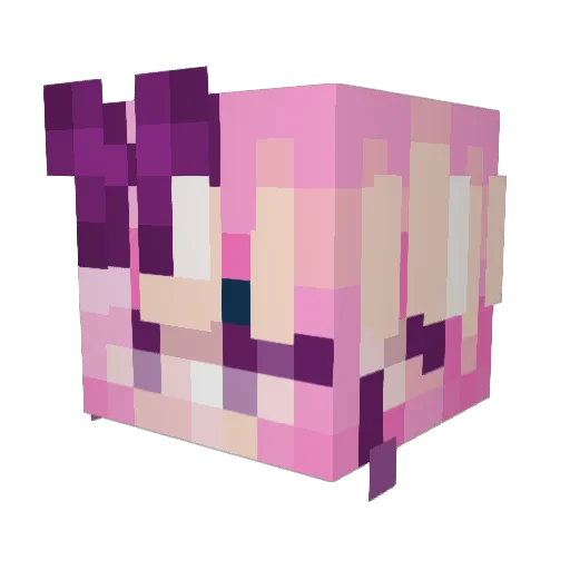 Dominic48 Minecraft avatar head, 3D render