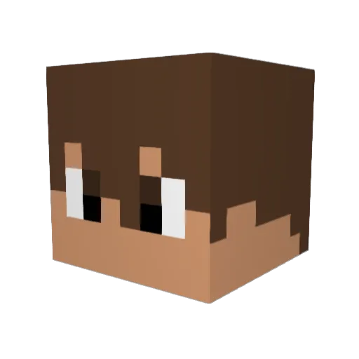 Dominic4Life Minecraft avatar head, 3D render