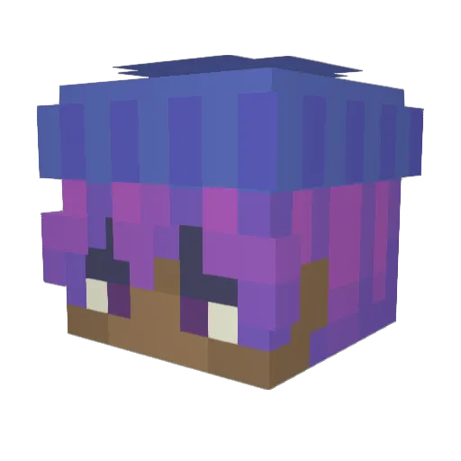 DominicTyR Minecraft avatar head, 3D render