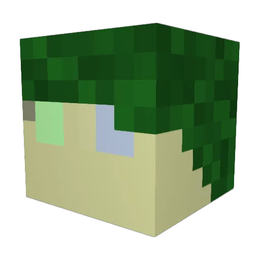 Dominic_Scott Minecraft avatar head, 3D render