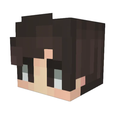 DominickerXD Minecraft avatar head, 3D render