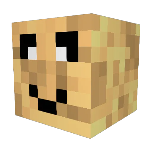 Dominik2308 Minecraft avatar head, 3D render