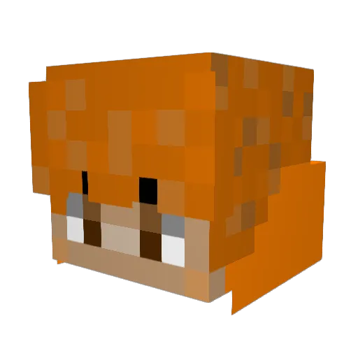 Dominik3107 Minecraft avatar head, 3D render