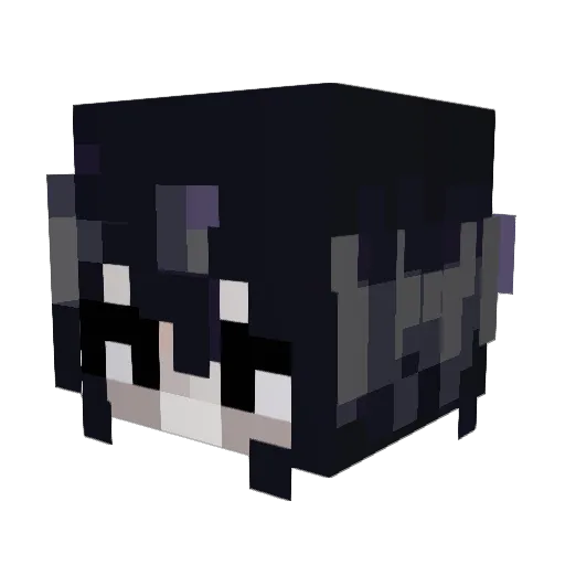 Dominik413 Minecraft avatar head, 3D render
