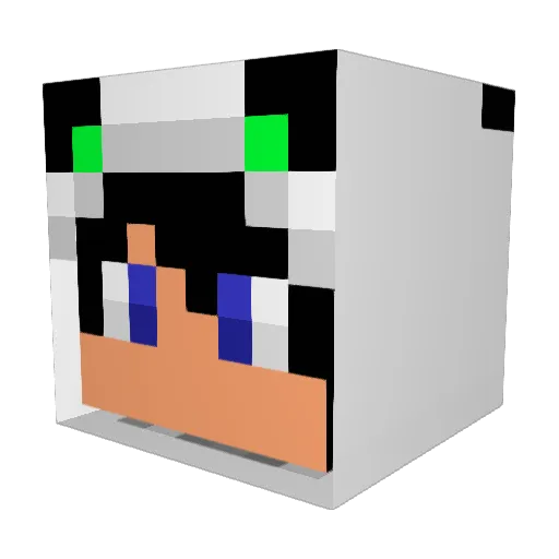 Dominik747 Minecraft avatar head, 3D render