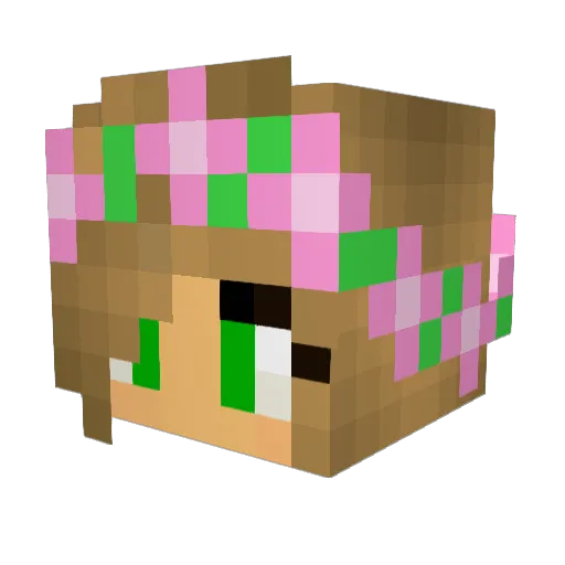 DominikAlpers Minecraft avatar head, 3D render