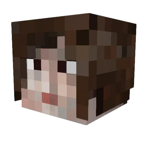 DominikB2013 Minecraft avatar head, 3D render
