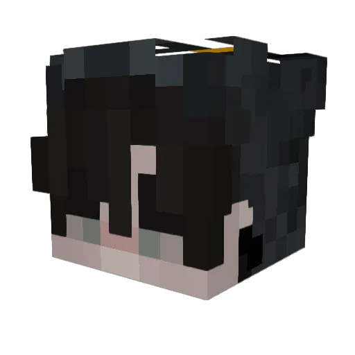 Dominik_broooo Minecraft avatar head, 3D render