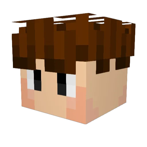 Domino2013 Minecraft avatar head, 3D render