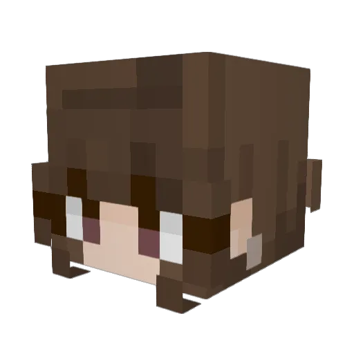 DominoAA Minecraft avatar head, 3D render