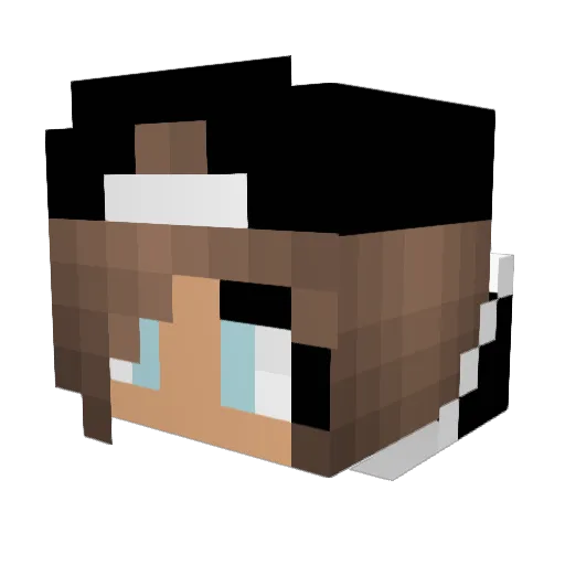 DominoDog12 Minecraft avatar head, 3D render