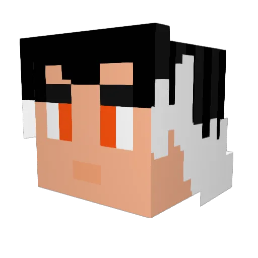 Dominoob1109 Minecraft avatar head, 3D render