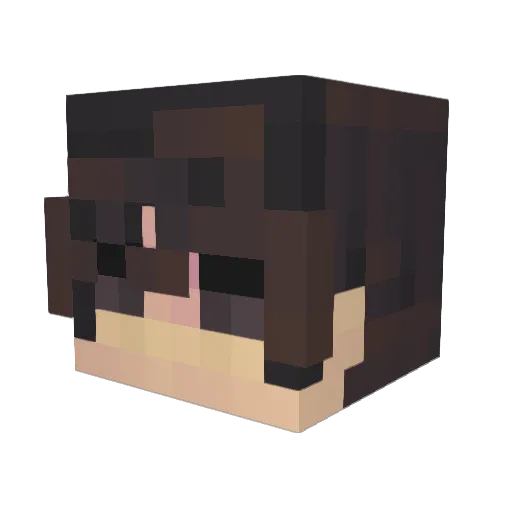 DominusCube Minecraft avatar head, 3D render