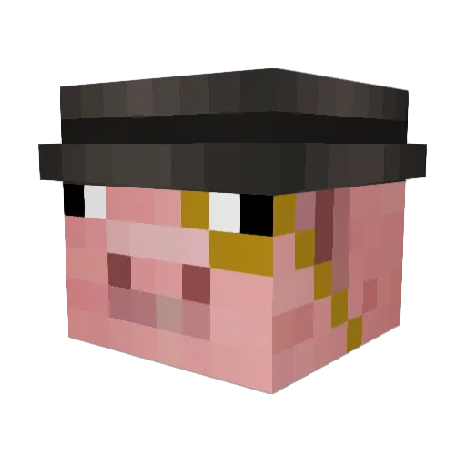 DominusPorcus Minecraft avatar head, 3D render