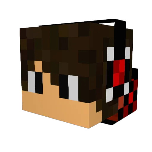 Domis600 Minecraft avatar head, 3D render