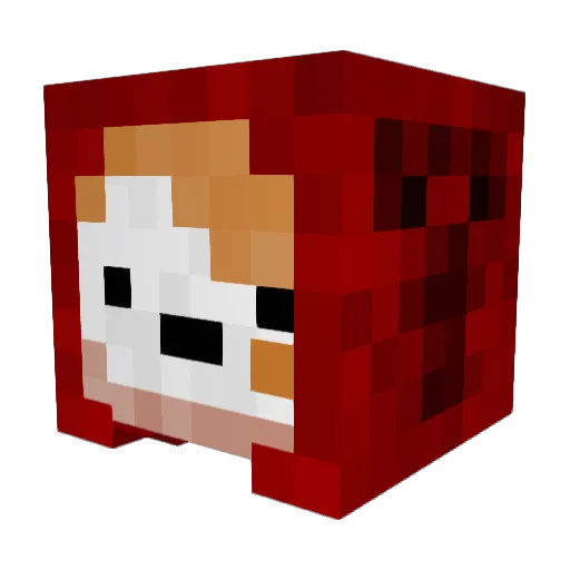 DomisFrobi02 Minecraft avatar head, 3D render
