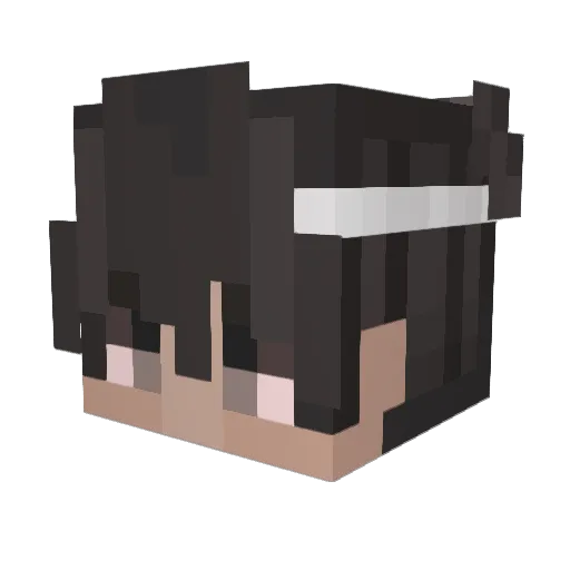 Domissqu_ Minecraft avatar head, 3D render