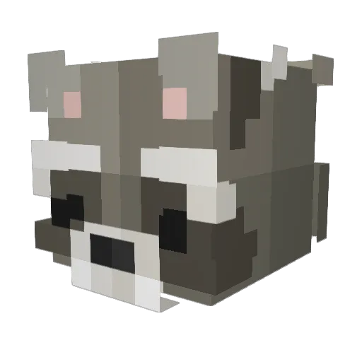 Domiszop Minecraft avatar head, 3D render