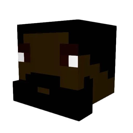 Domitoo Minecraft avatar head, 3D render