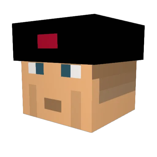 Domix069 Minecraft avatar head, 3D render
