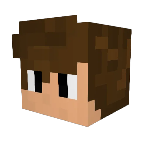 Domixoo Minecraft avatar head, 3D render