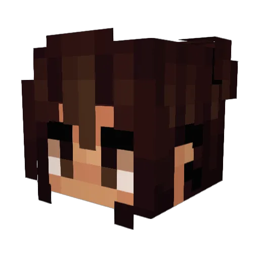 Domjom2233 Minecraft avatar head, 3D render