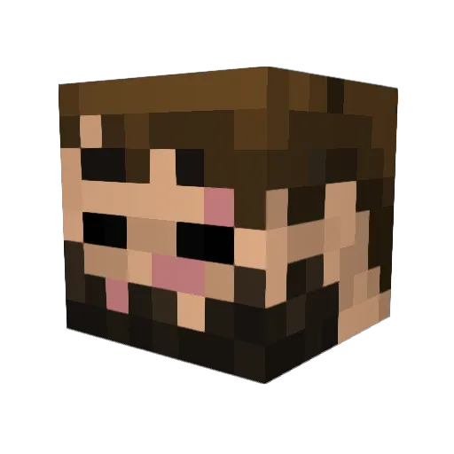DommyGamez Minecraft avatar head, 3D render