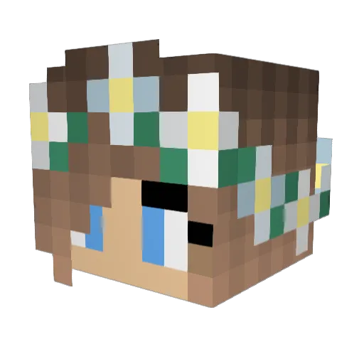 DomoDomoso Minecraft avatar head, 3D render