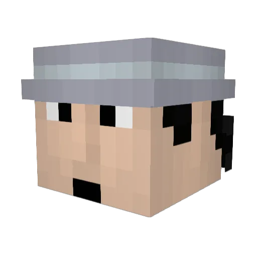 Domoforsale Minecraft avatar head, 3D render