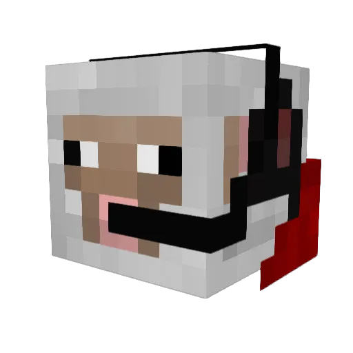 Domogoto203 Minecraft avatar head, 3D render