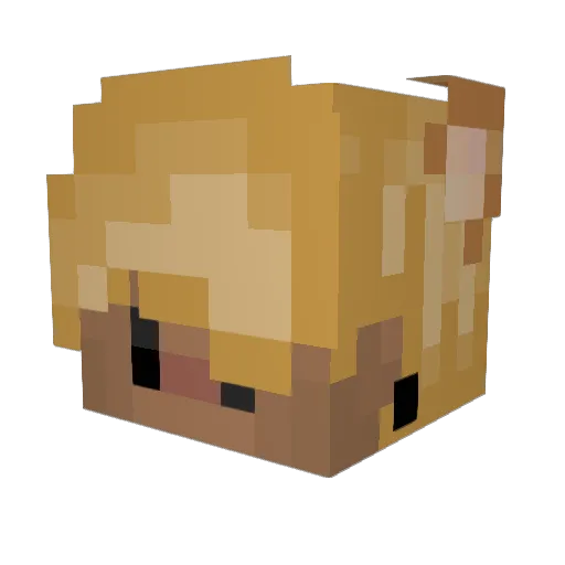 Domosaur64 Minecraft avatar head, 3D render