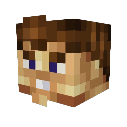 Domschole Minecraft avatar head, 3D render